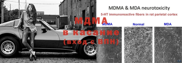индика Нязепетровск