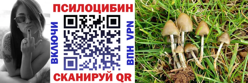 цены наркотик Ступино Псилоцибиновые грибы MAGIC MUSHROOMS